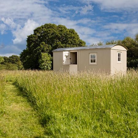 Romantic Secluded Shepherd Hut Hares Rest Southwick  Εξωτερικό φωτογραφία
