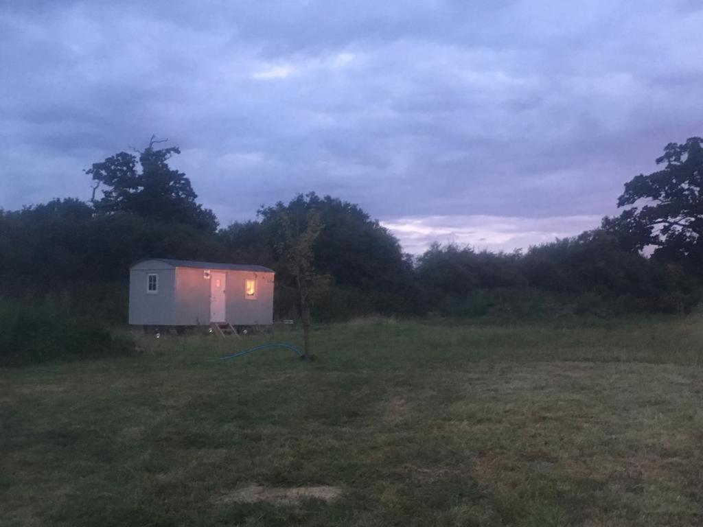 Romantic Secluded Shepherd Hut Hares Rest Southwick  Εξωτερικό φωτογραφία
