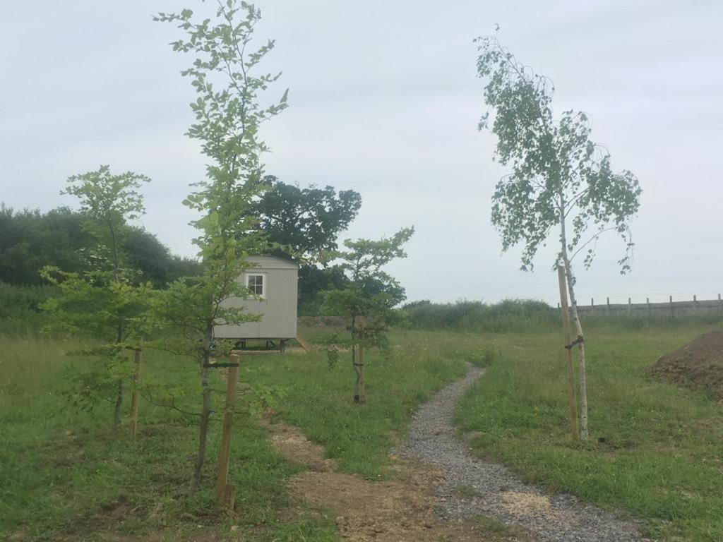 Romantic Secluded Shepherd Hut Hares Rest Southwick  Εξωτερικό φωτογραφία