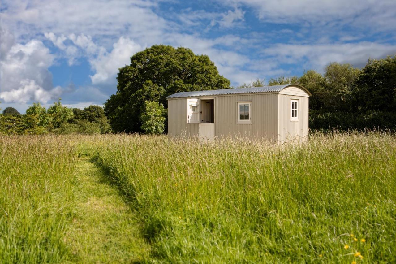 Romantic Secluded Shepherd Hut Hares Rest Southwick  Εξωτερικό φωτογραφία